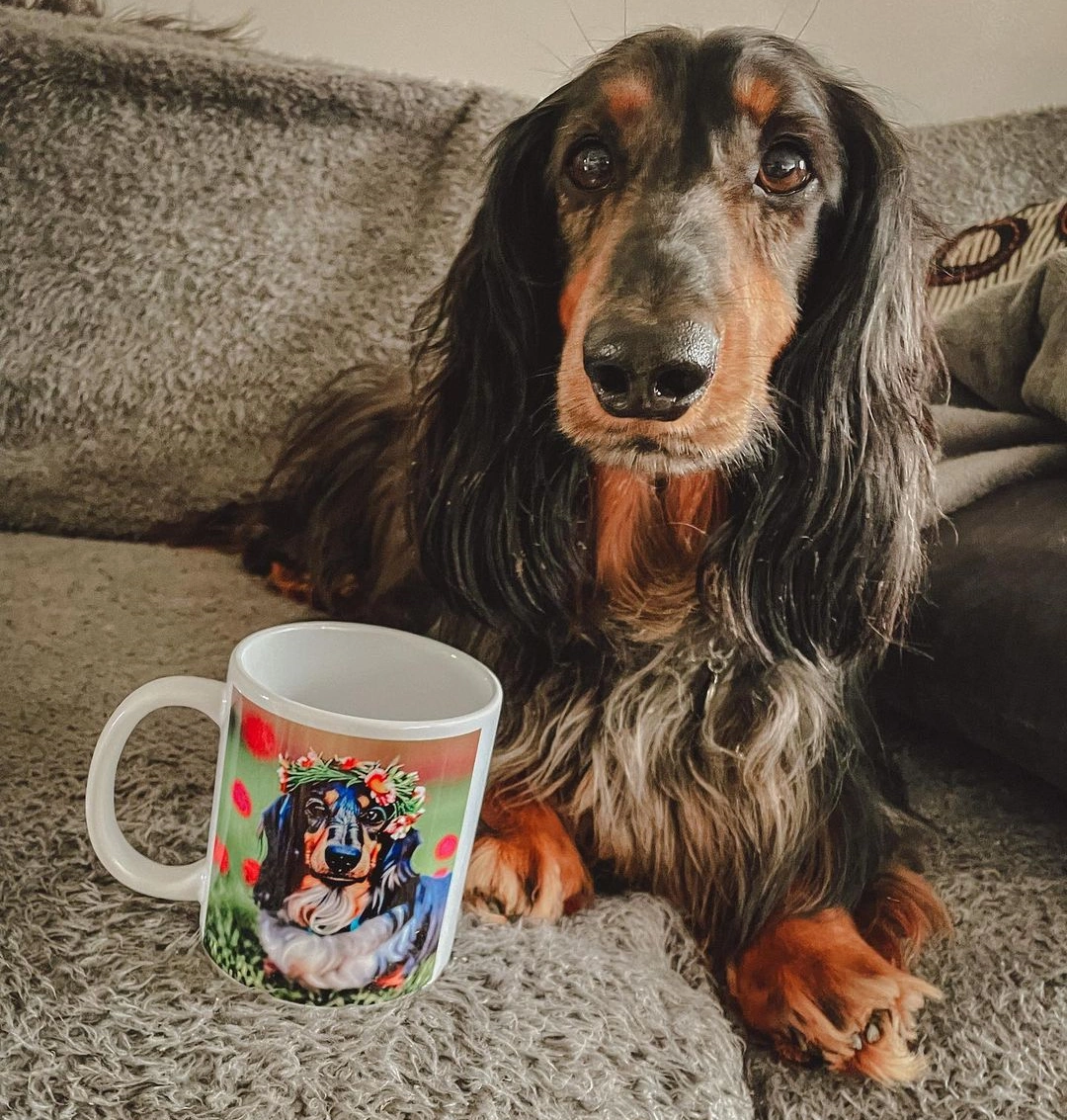 Alfie the Dog with His mug