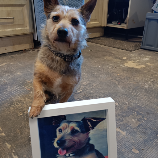 A picture of Tonka the dog with his portrait