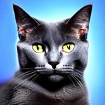 Hologram-Russian Blue