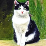 Manx impressionist