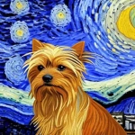 Teddy in Stary Sky