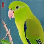 Bird in Japanese style 