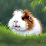 Guinea Pig in Forest