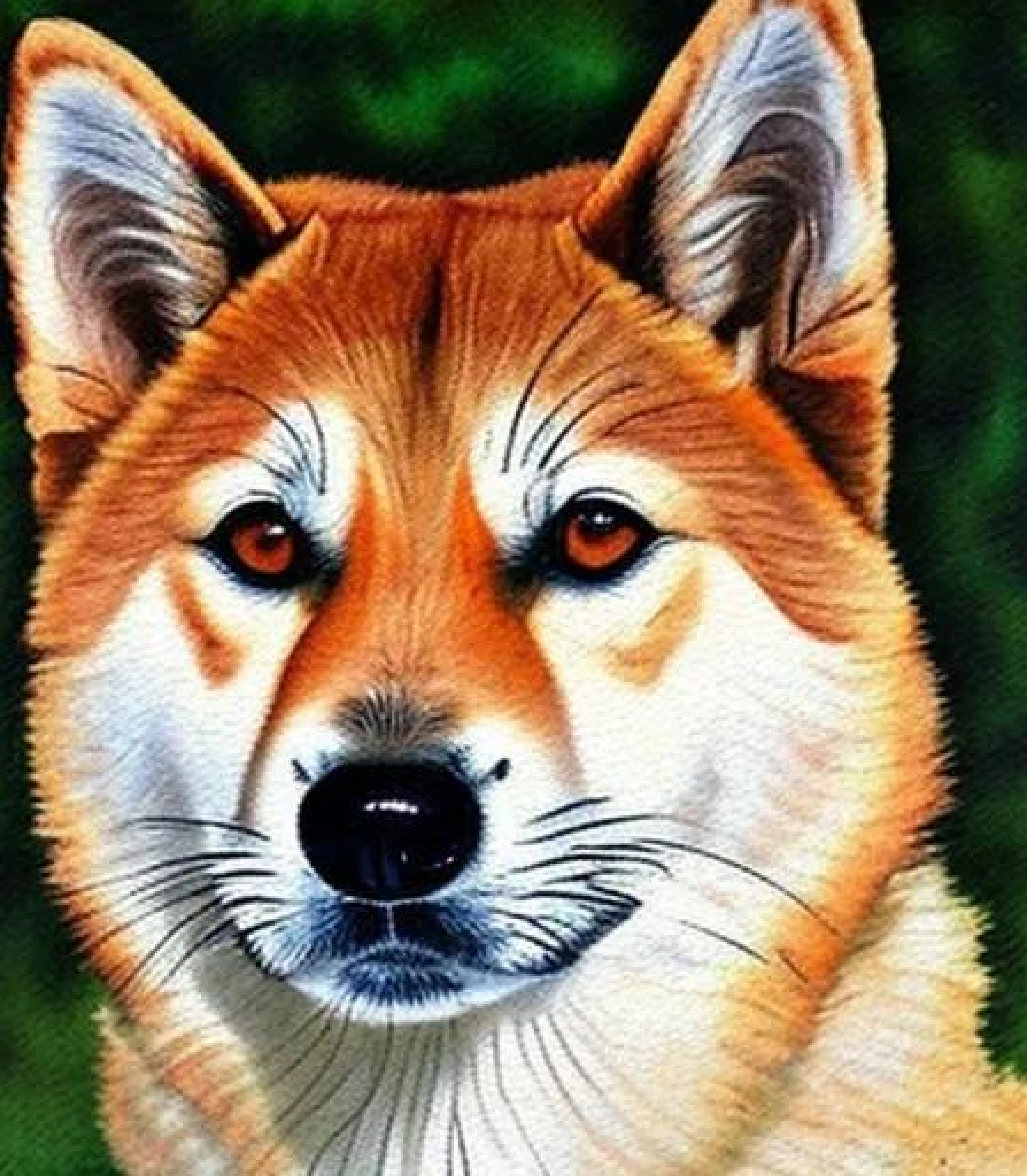 Akita in Watercolour painting style created using AI Draw our online AI Art generator