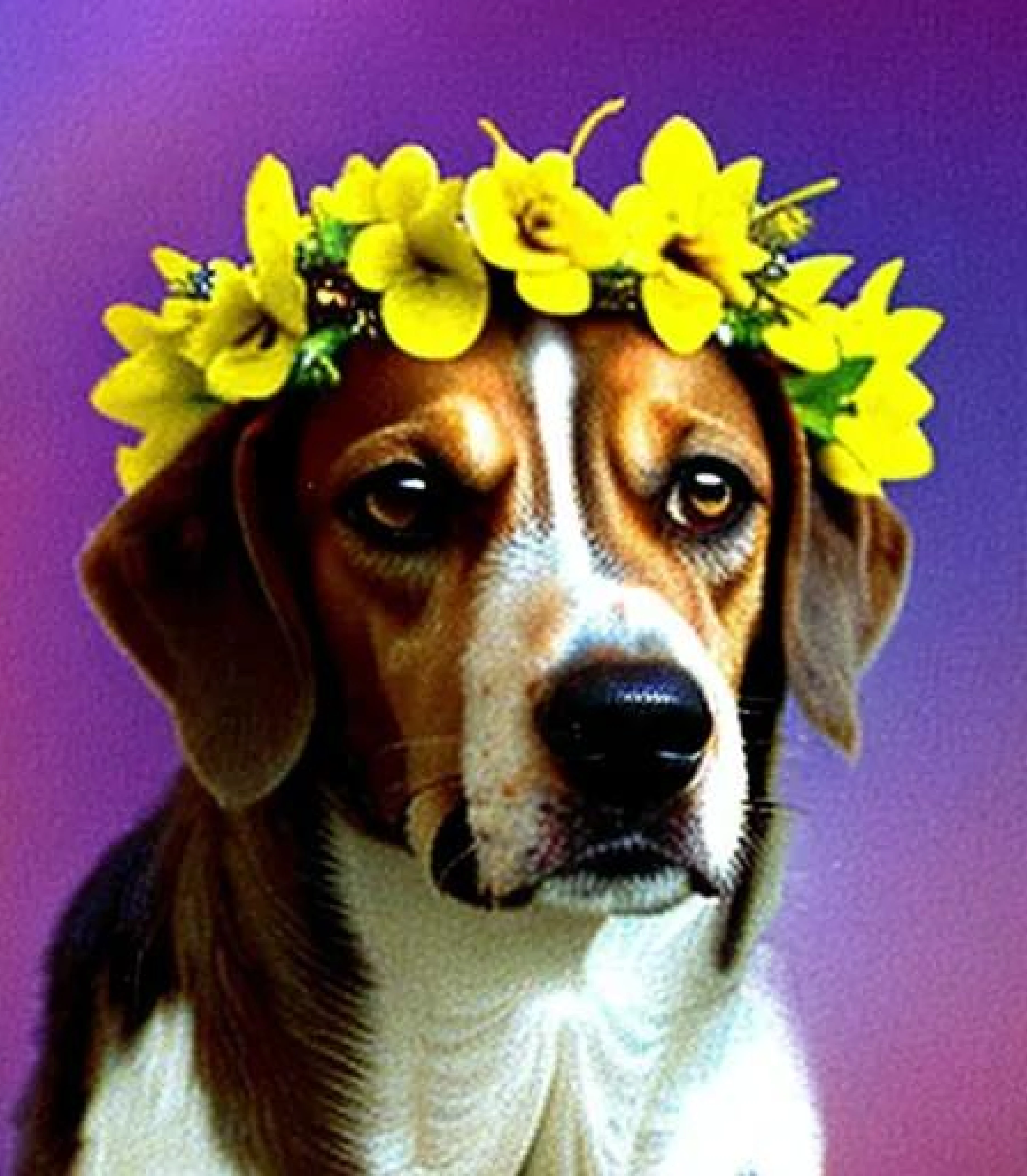 Beagle in Flower Crown created using AI Draw our online AI Art generator