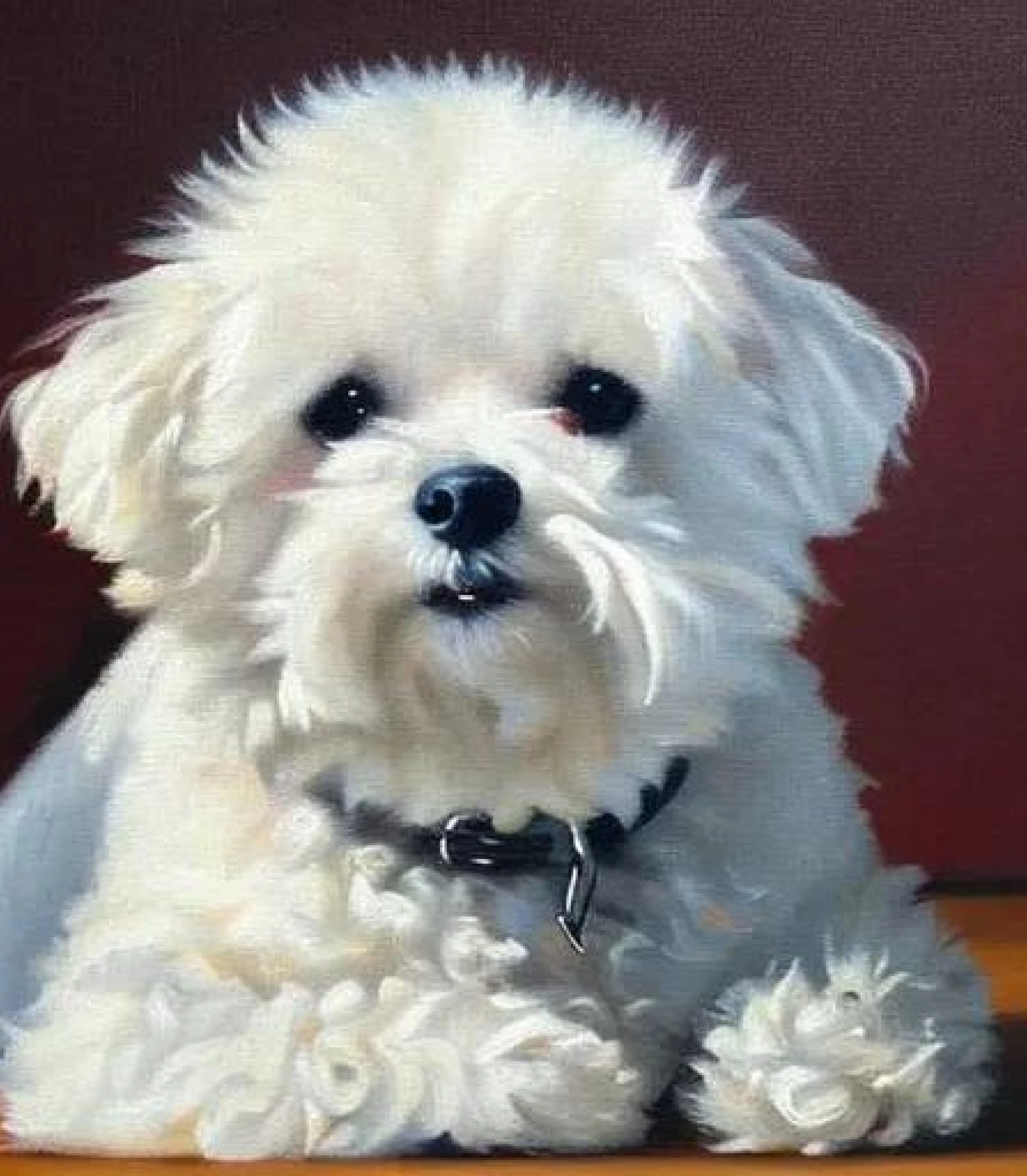 Bichon Frise in Oil painting style created using AI Draw our online AI Art generator 