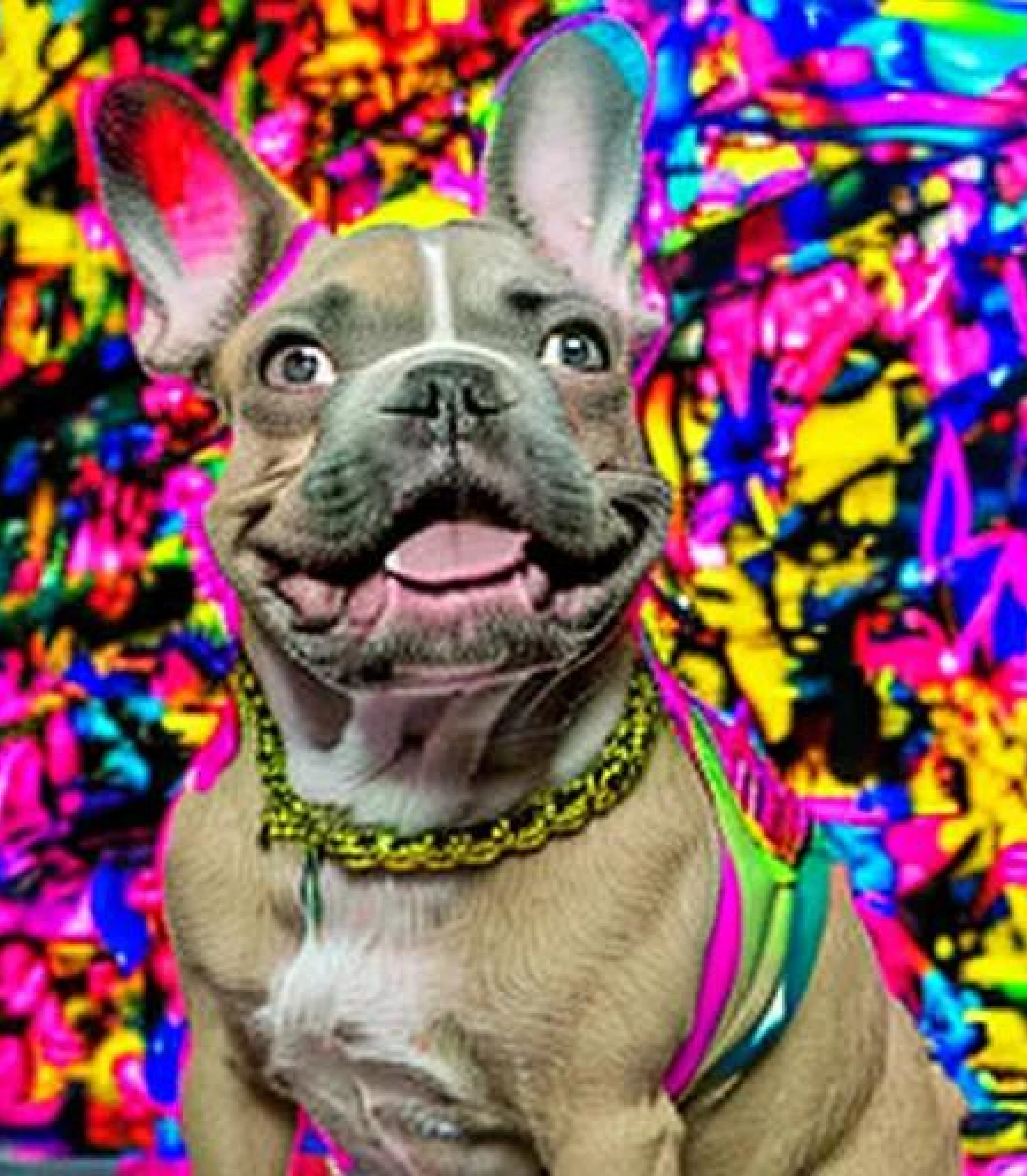 Bulldog in rainbow graffiti style created using AI Draw 