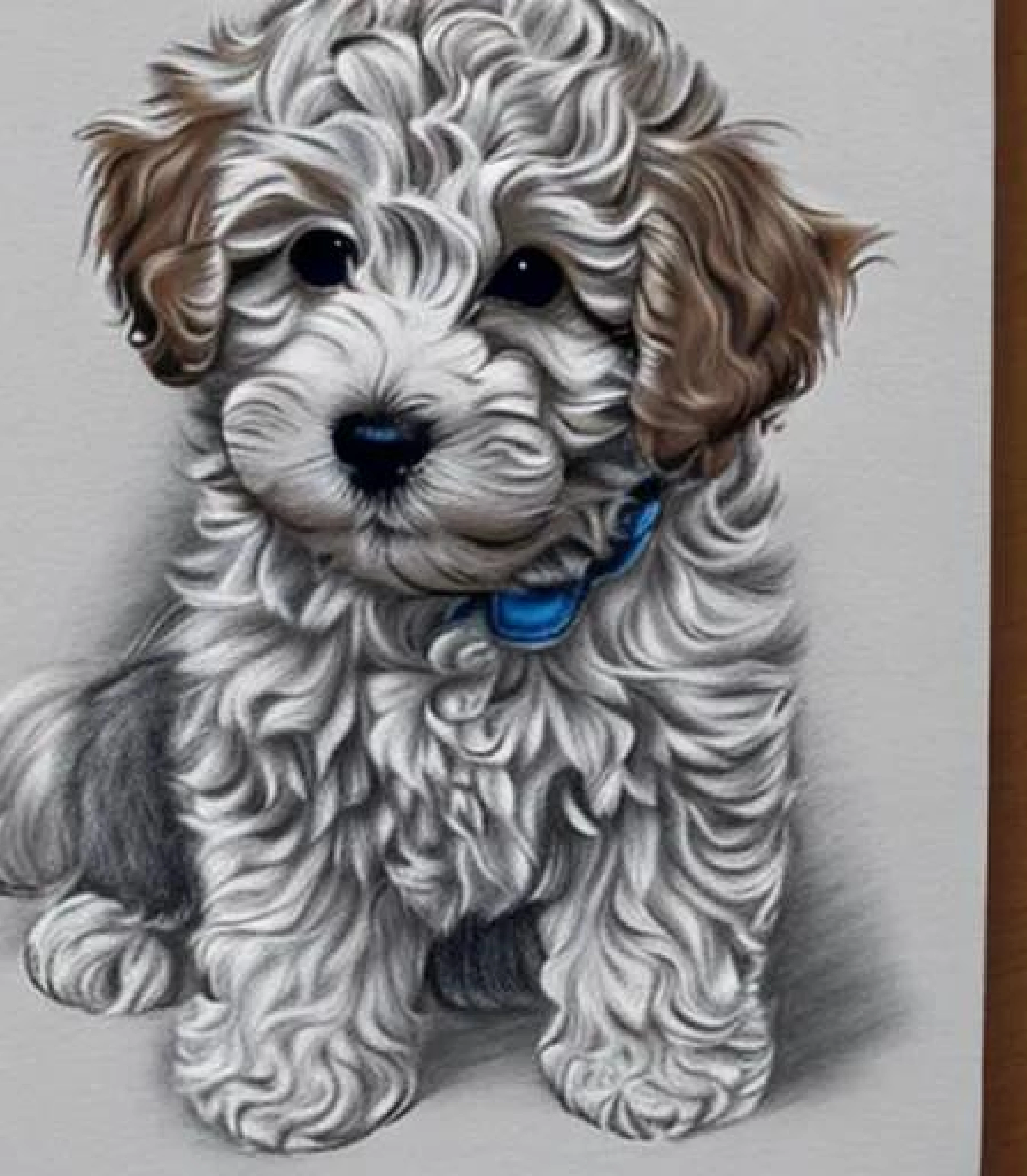 Cockapoo in Coloured pencil sketch created using AI Draw 