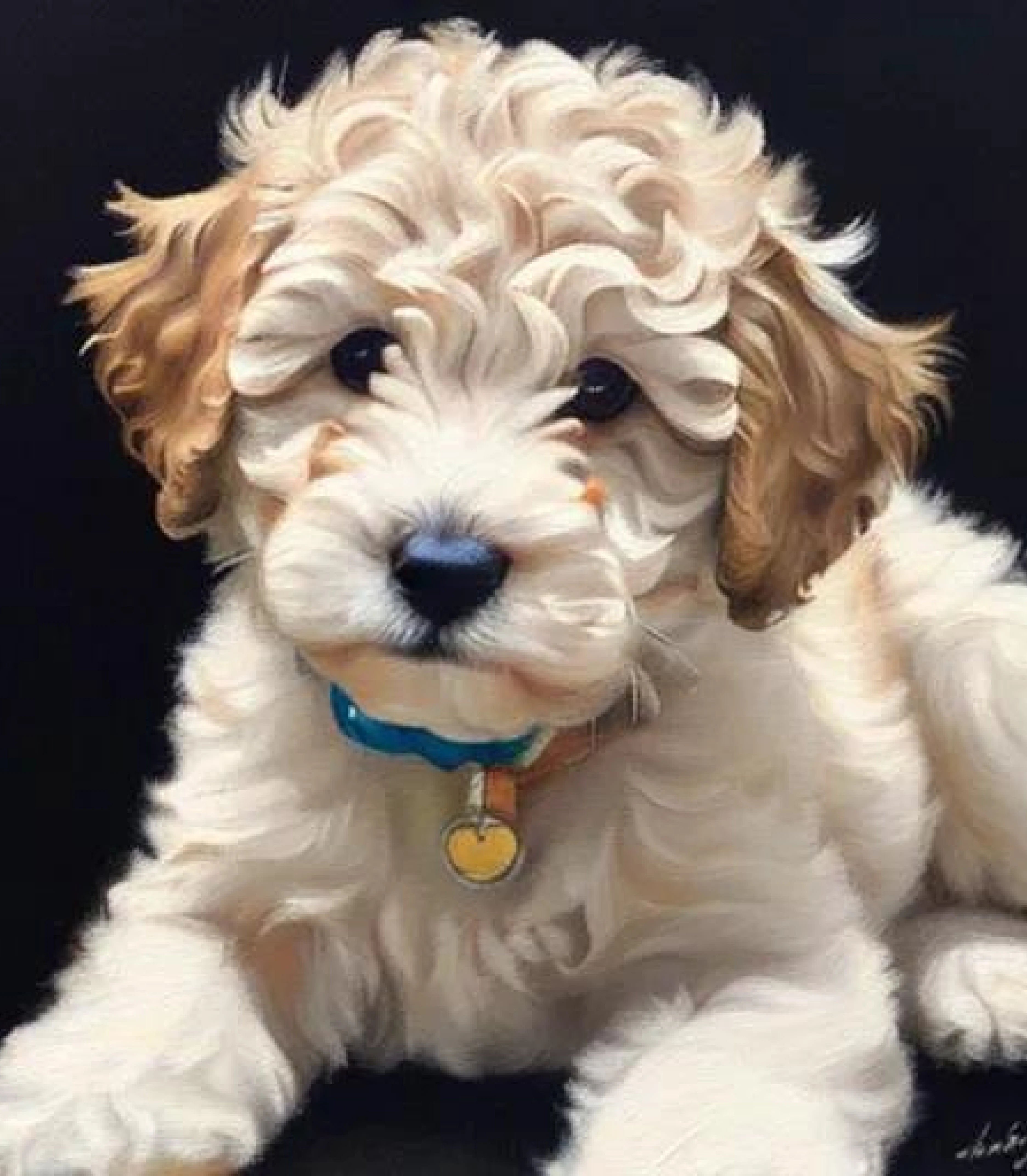 Cockapoo in in Oil painting style created using AI Draw 