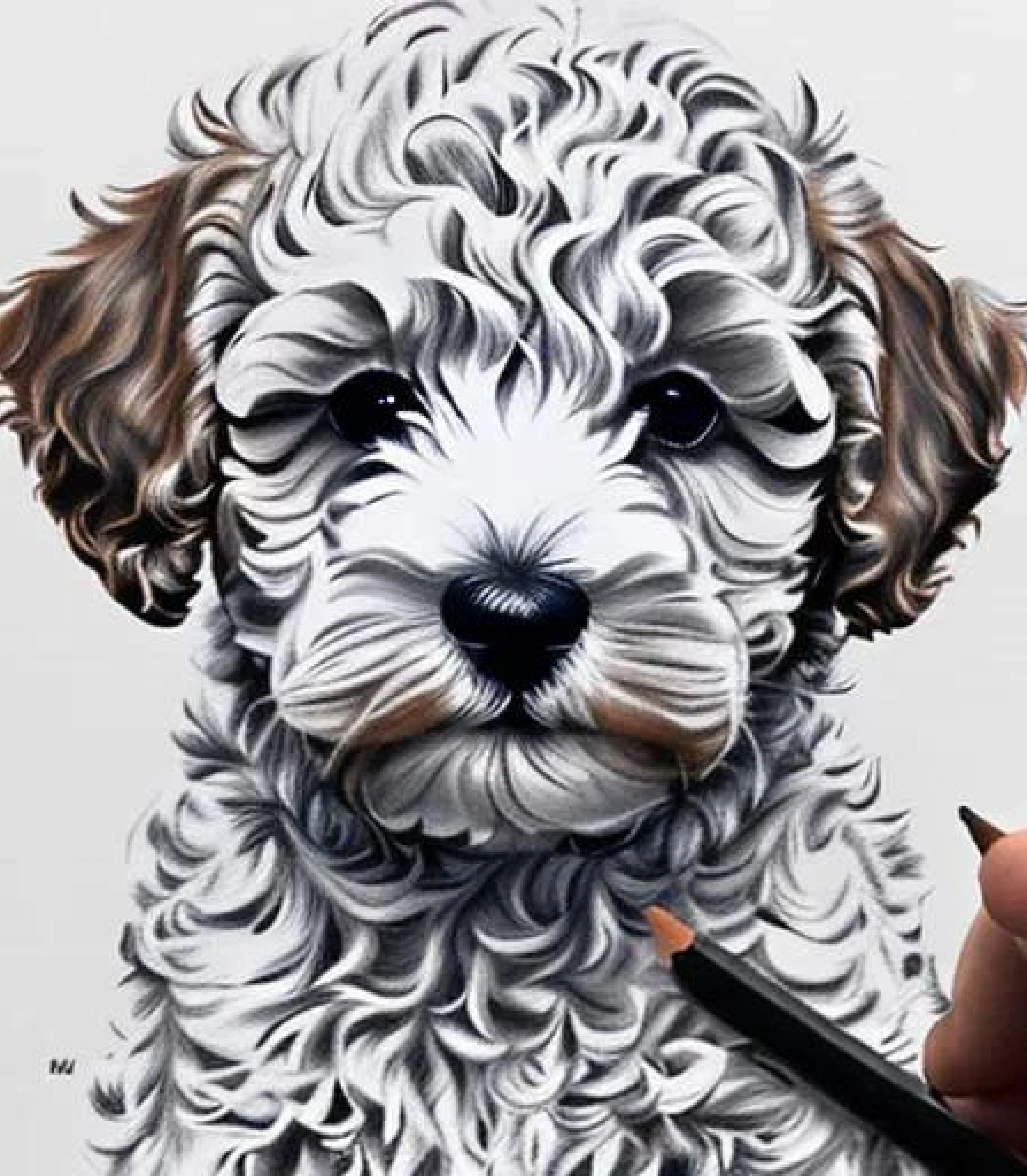 Cockapoo in Realistic Pencil sketch style created using AI Draw 