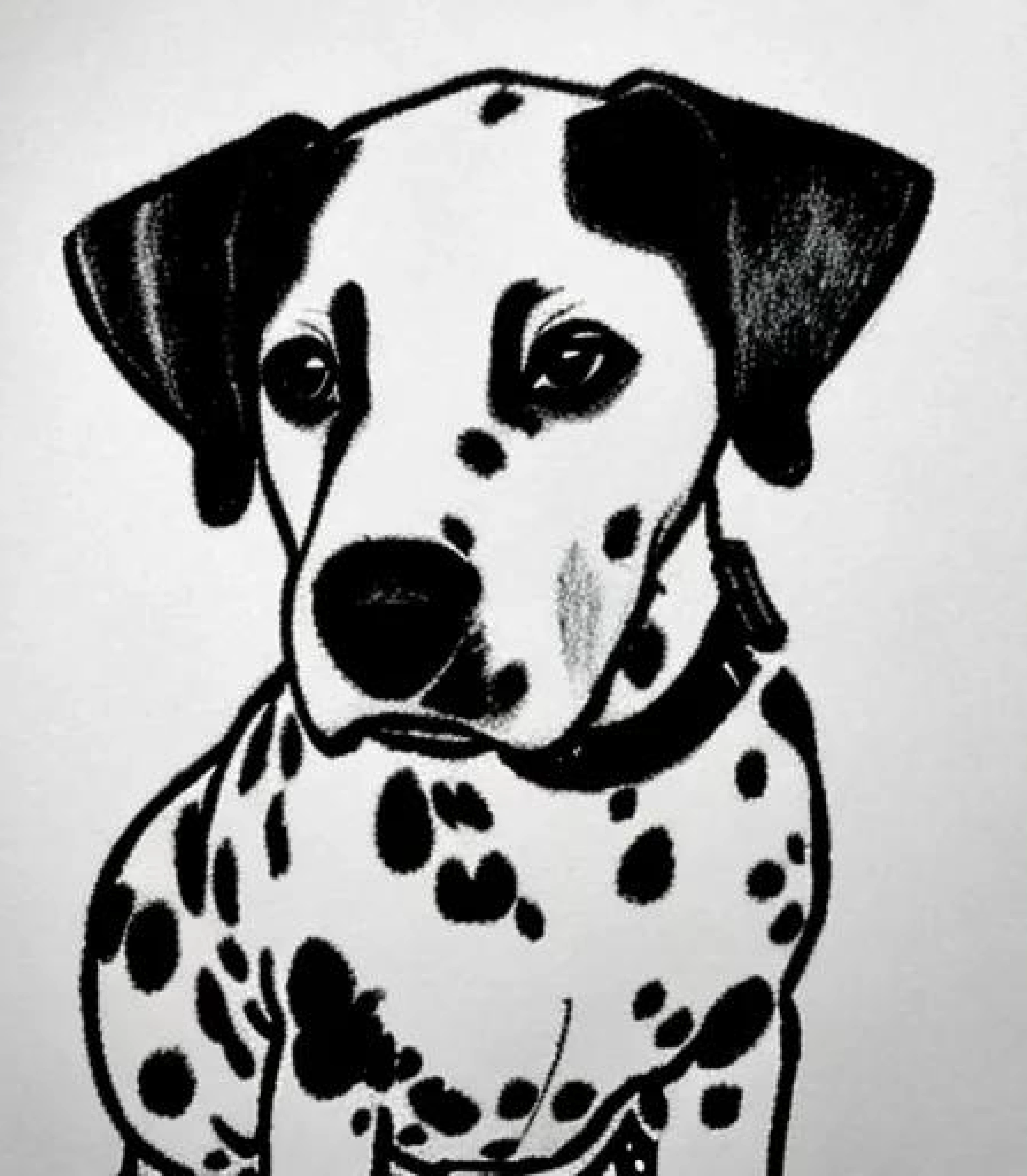 Dalmatian in Monochrome Pencil sketch created using AI Draw our online AI Art generator