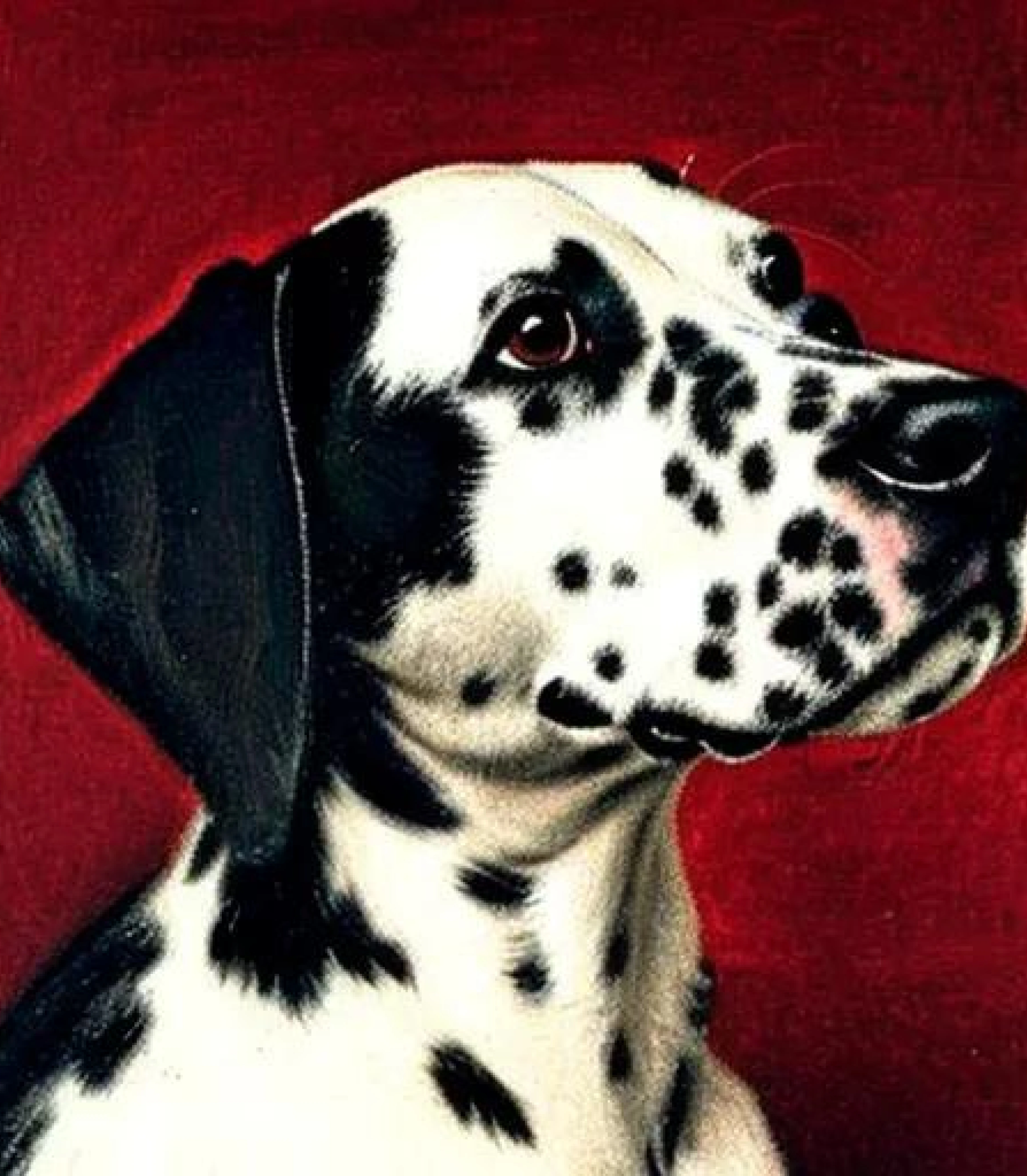 Dalmatian in Realistic Baroque painting style created using AI Draw our online AI Art generator 