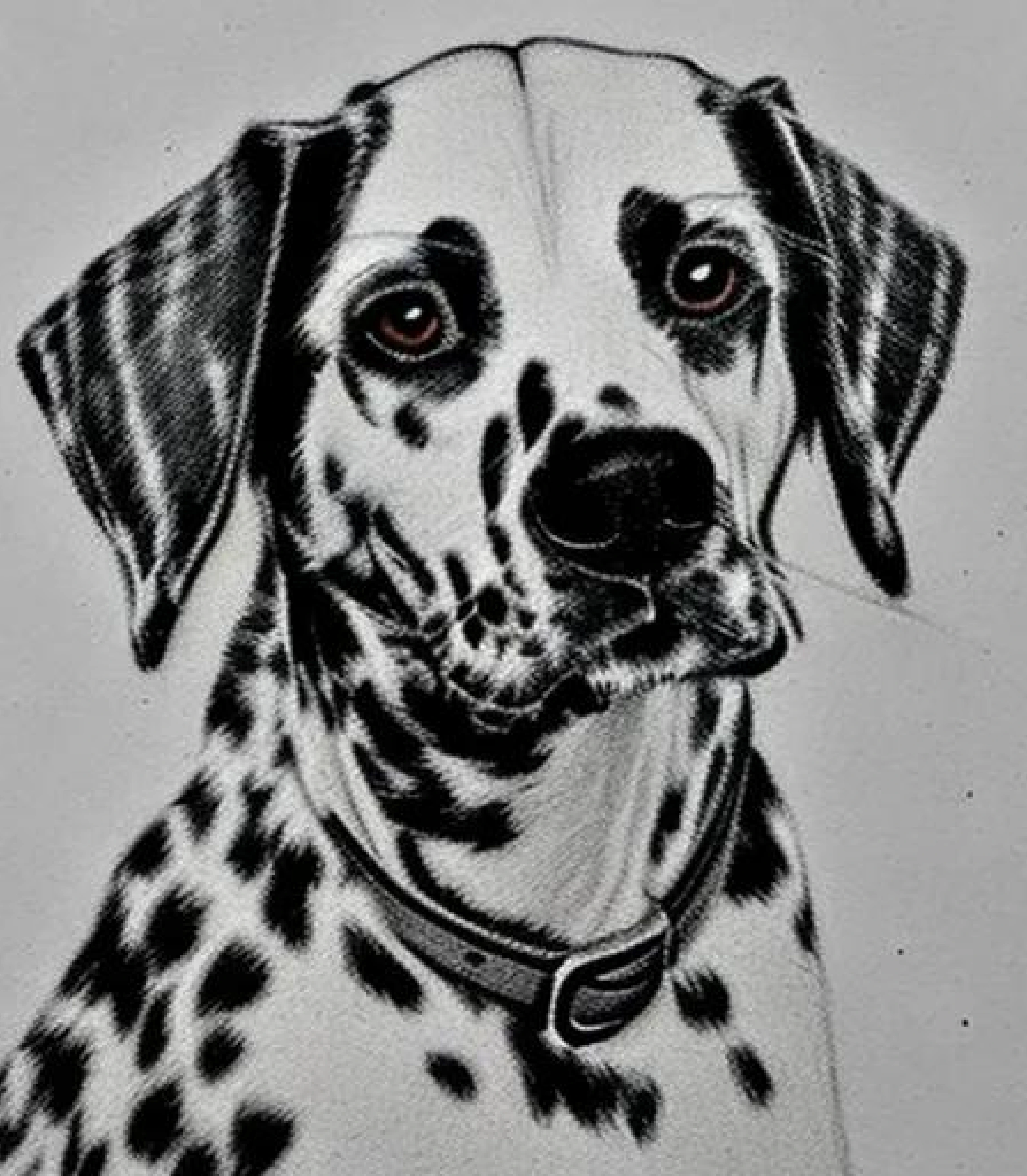 Dalmatian in Stunning coloured pencil sketch created using AI Draw our online AI Art generator