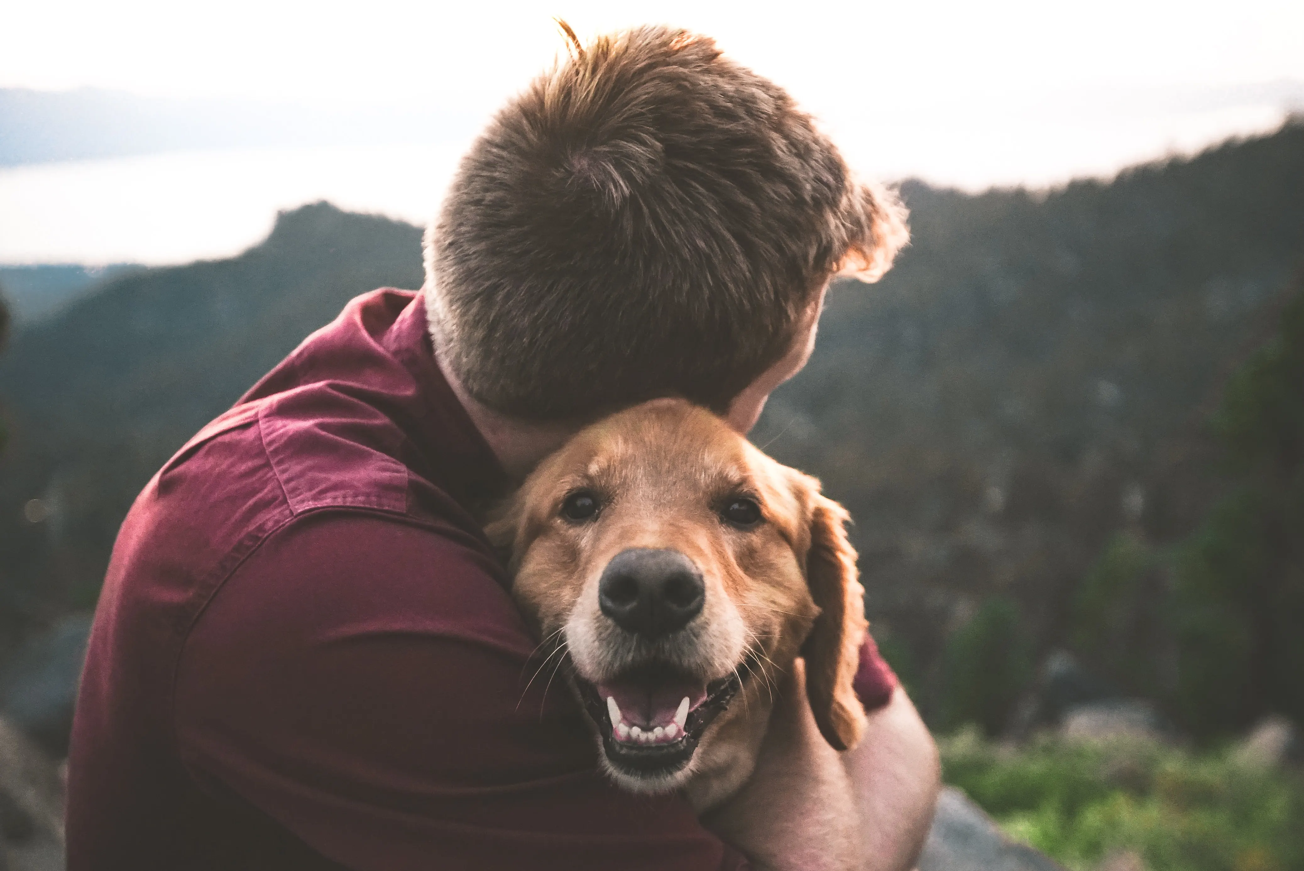Fathers Day Dad Hugging Dog From Eric Ward on Unsplash
