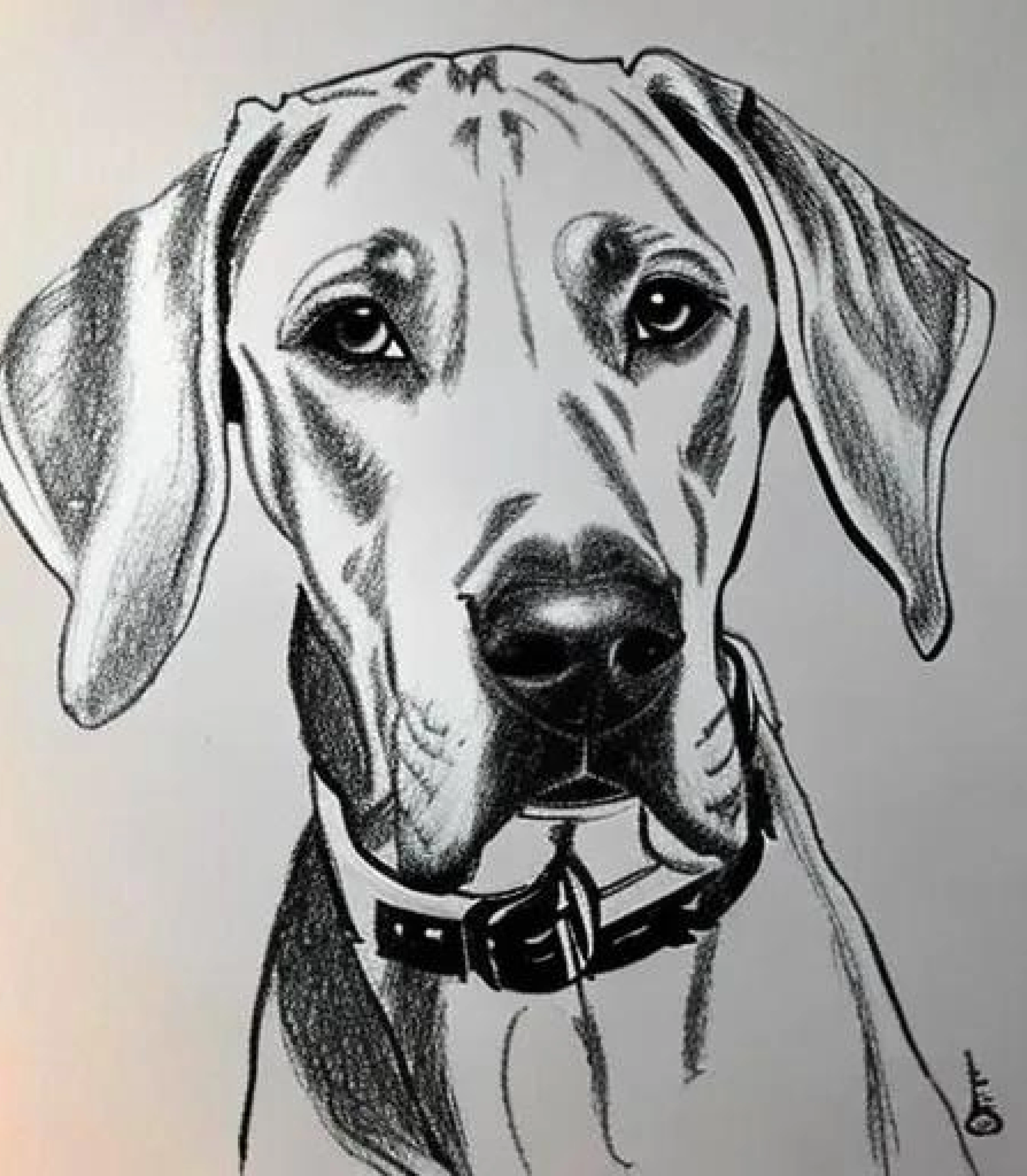 Great Dane in Realistic Pencil sketch style created using AI Draw our online AI Art generator