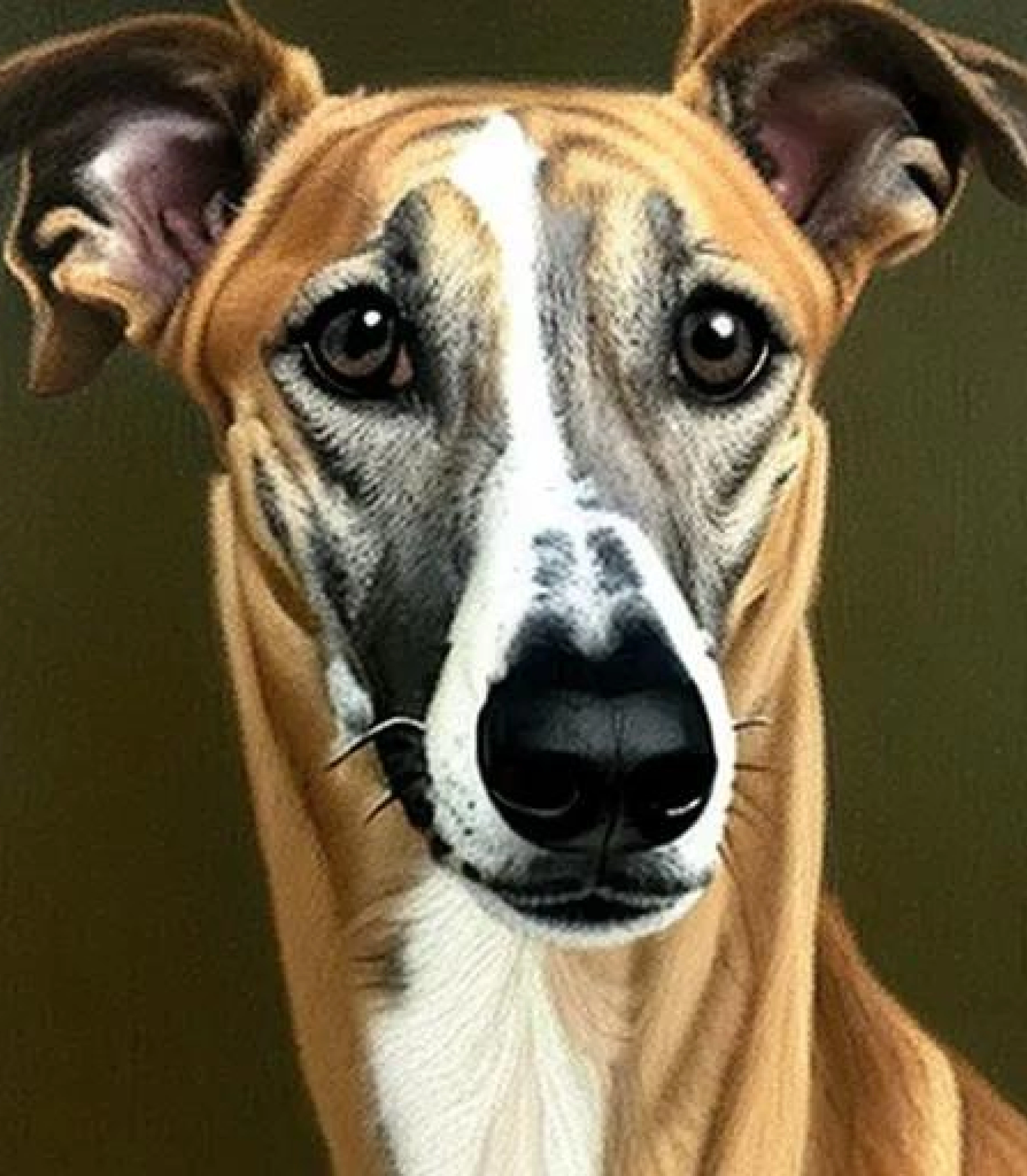 GreyHound in Baroque painting style created using AI Draw our online AI Art generator 