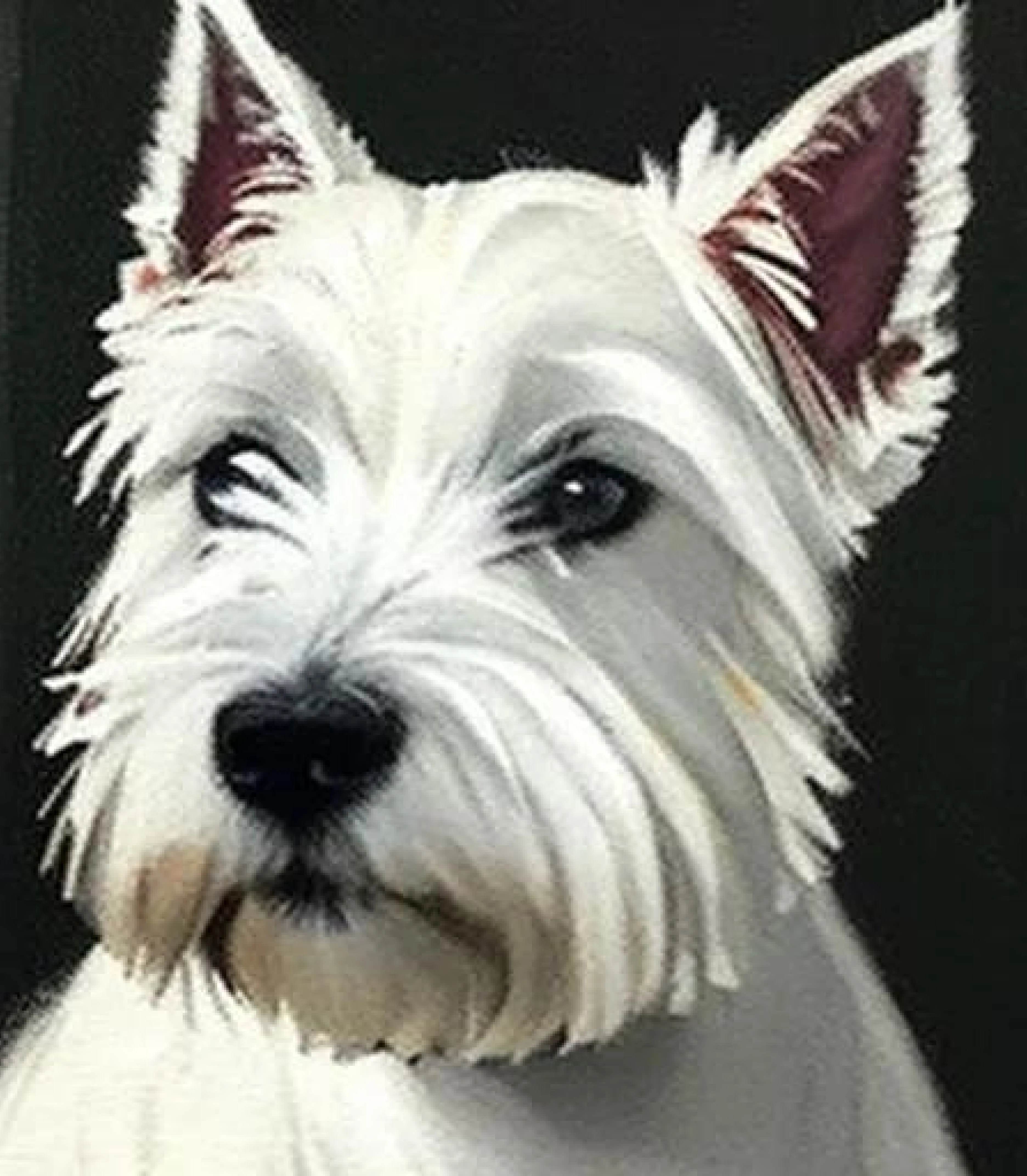 West Highland Terrier in Baroque painting style created using AI Draw our online AI Art generator 