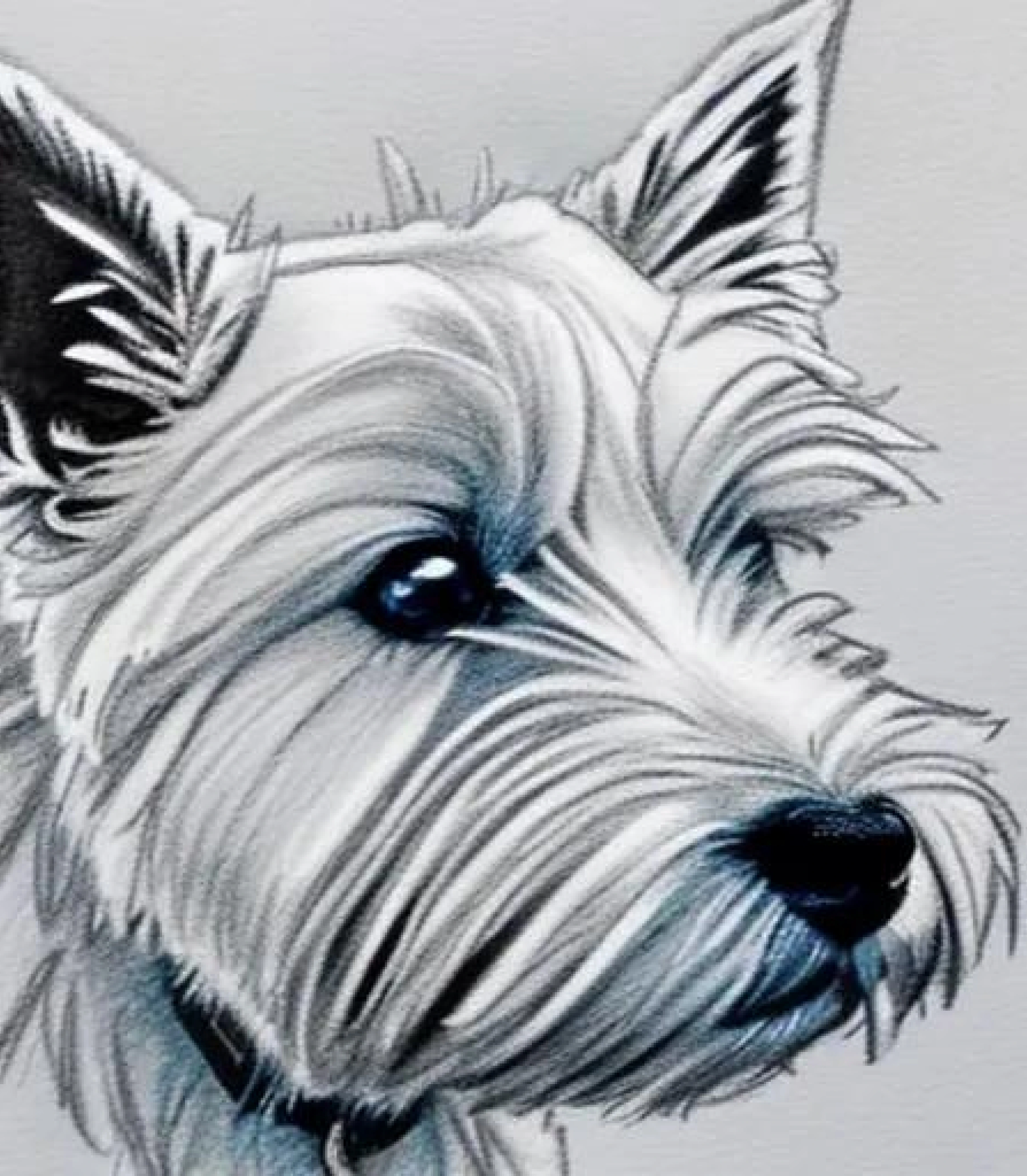 West Highland Terrier in Monochrome pencil sketch style and Bowtie created using AI Draw our online AI Art generator