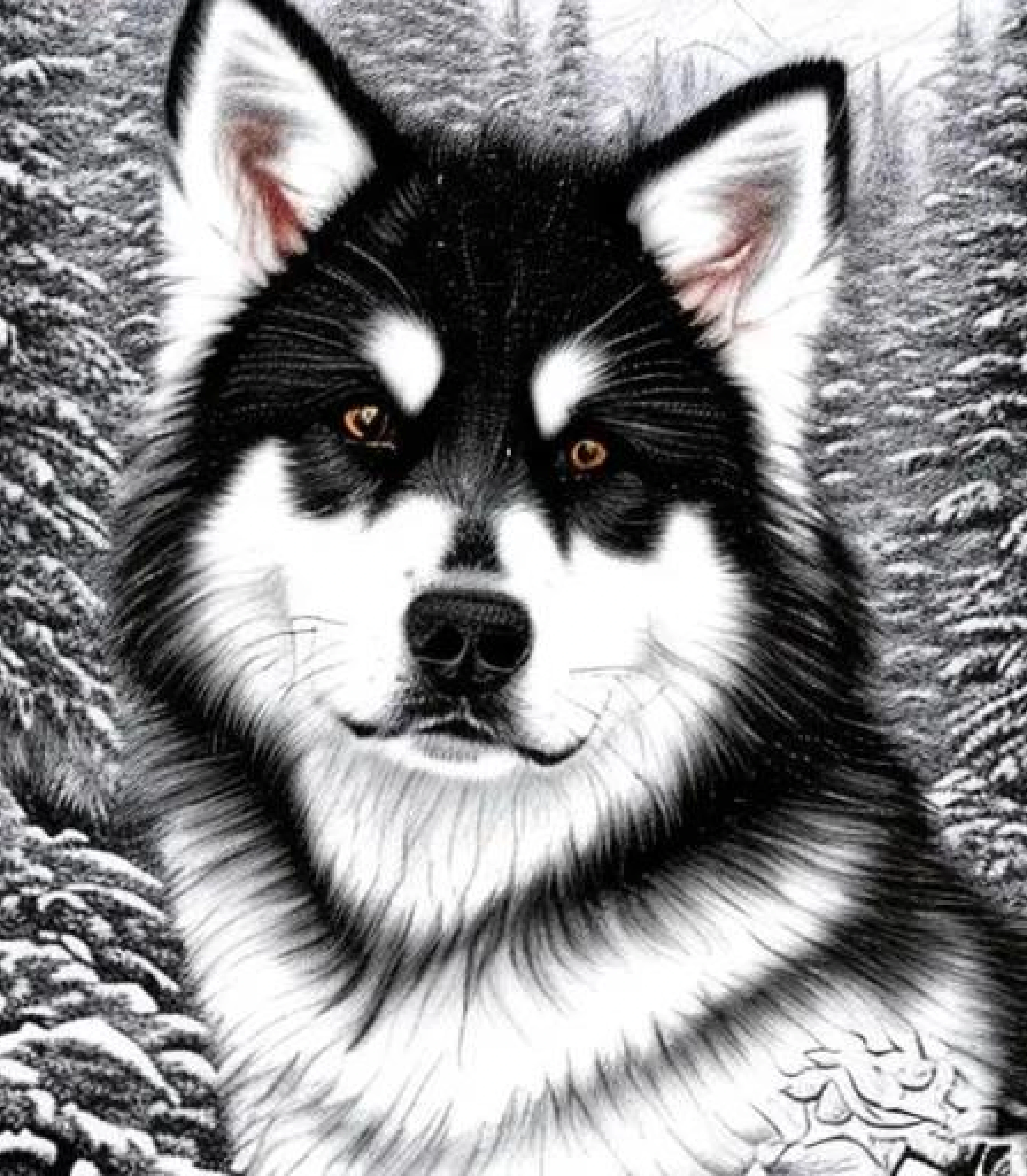 Alaskan Malmute in Realistic Pencil sketch style created using AI Draw 