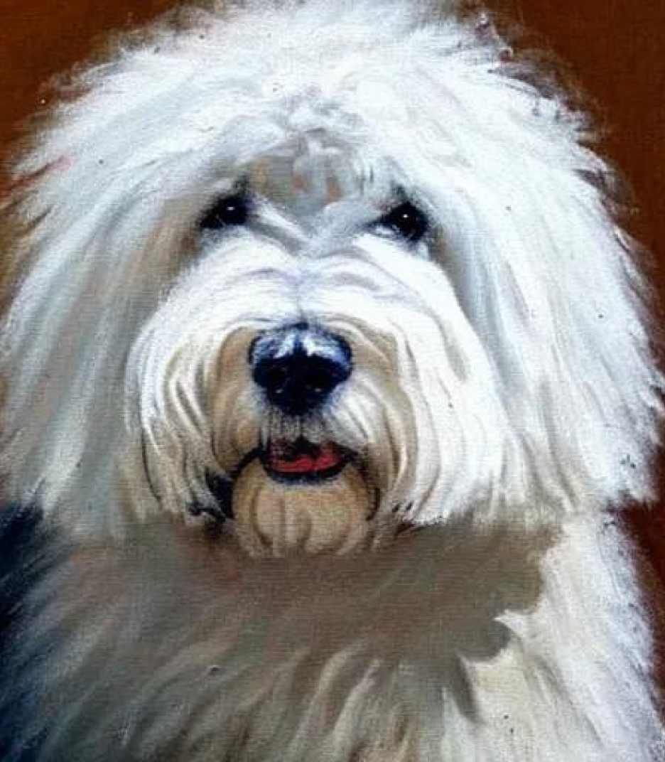 The Old English Sheepdog in Pastel Art style created using AI Draw 