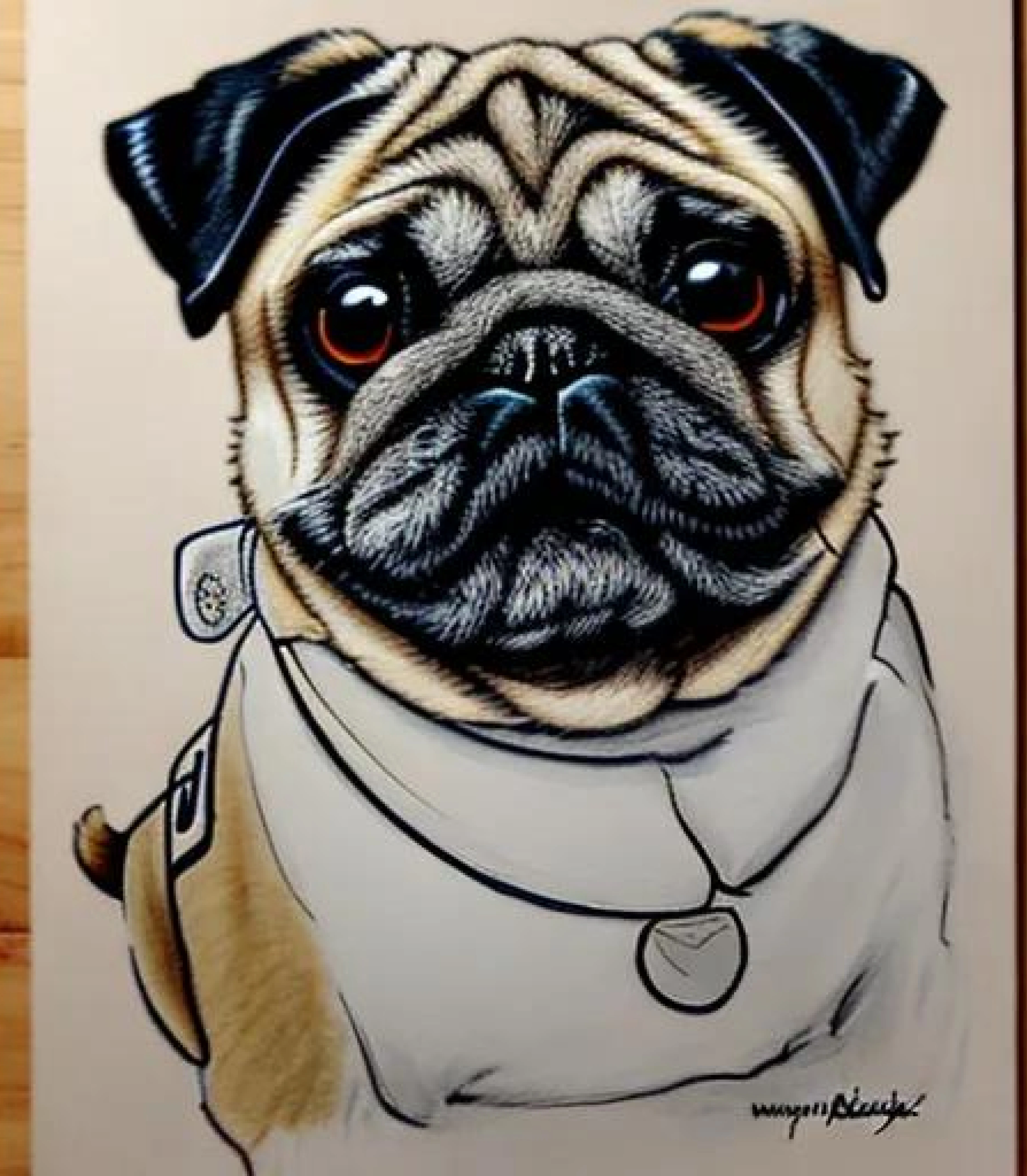 Pug in Hand Drawn Realistic sketch style created using AI Draw 