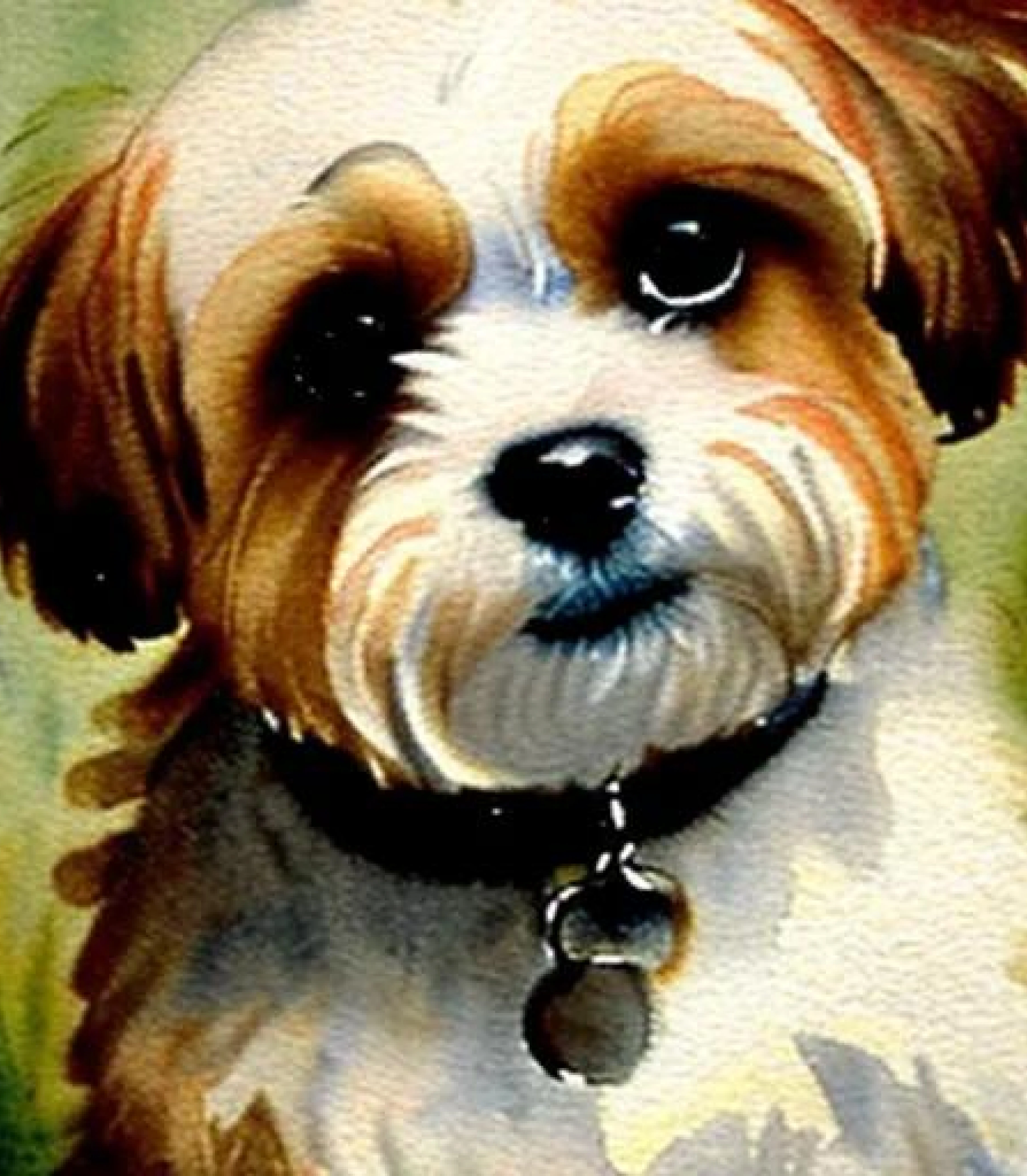 Shihtzu in Watercolour painting created using AI Draw our online AI Art generator