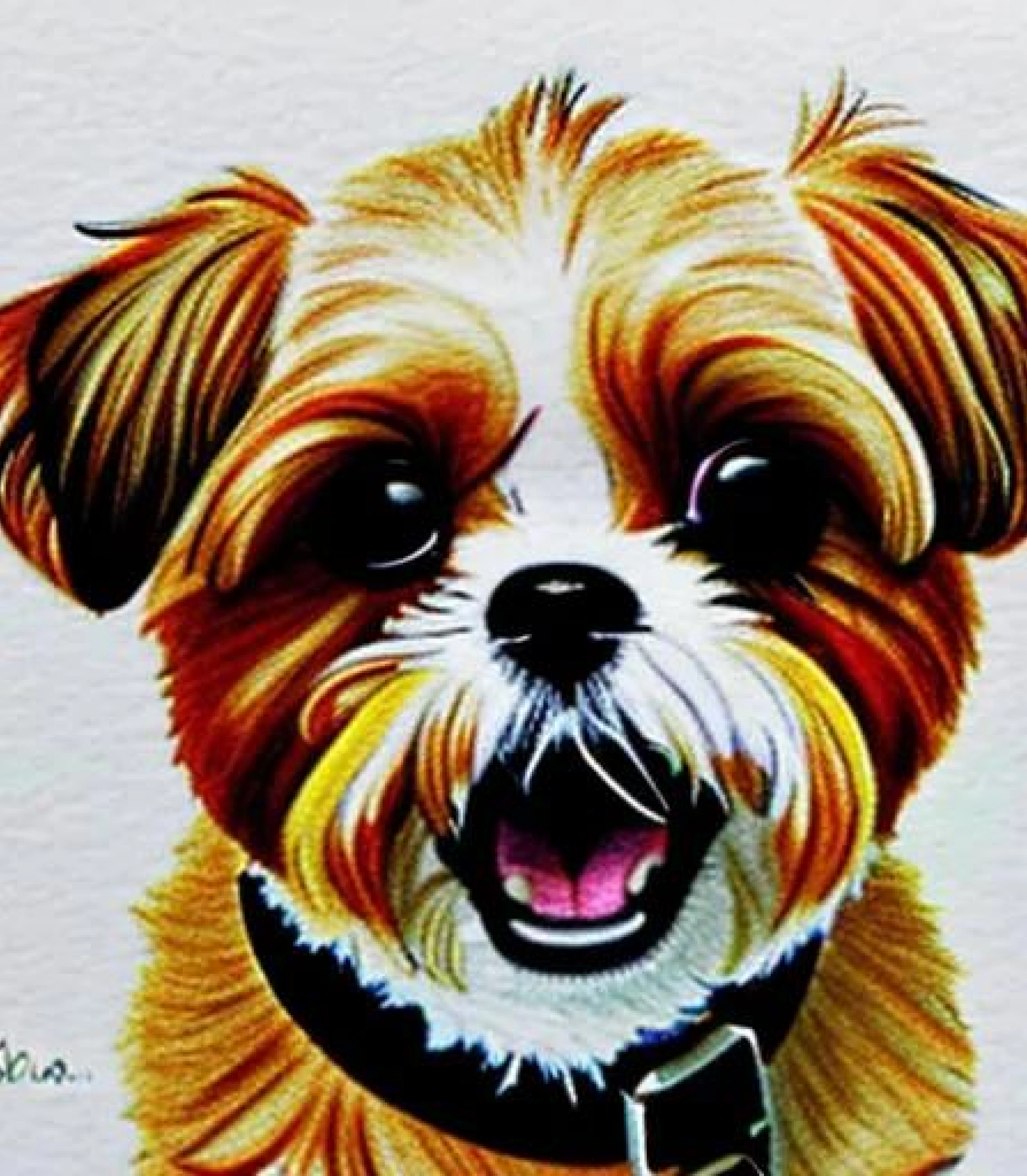 Shihtzu in Coloured Pen created using AI Draw our online AI Art generator