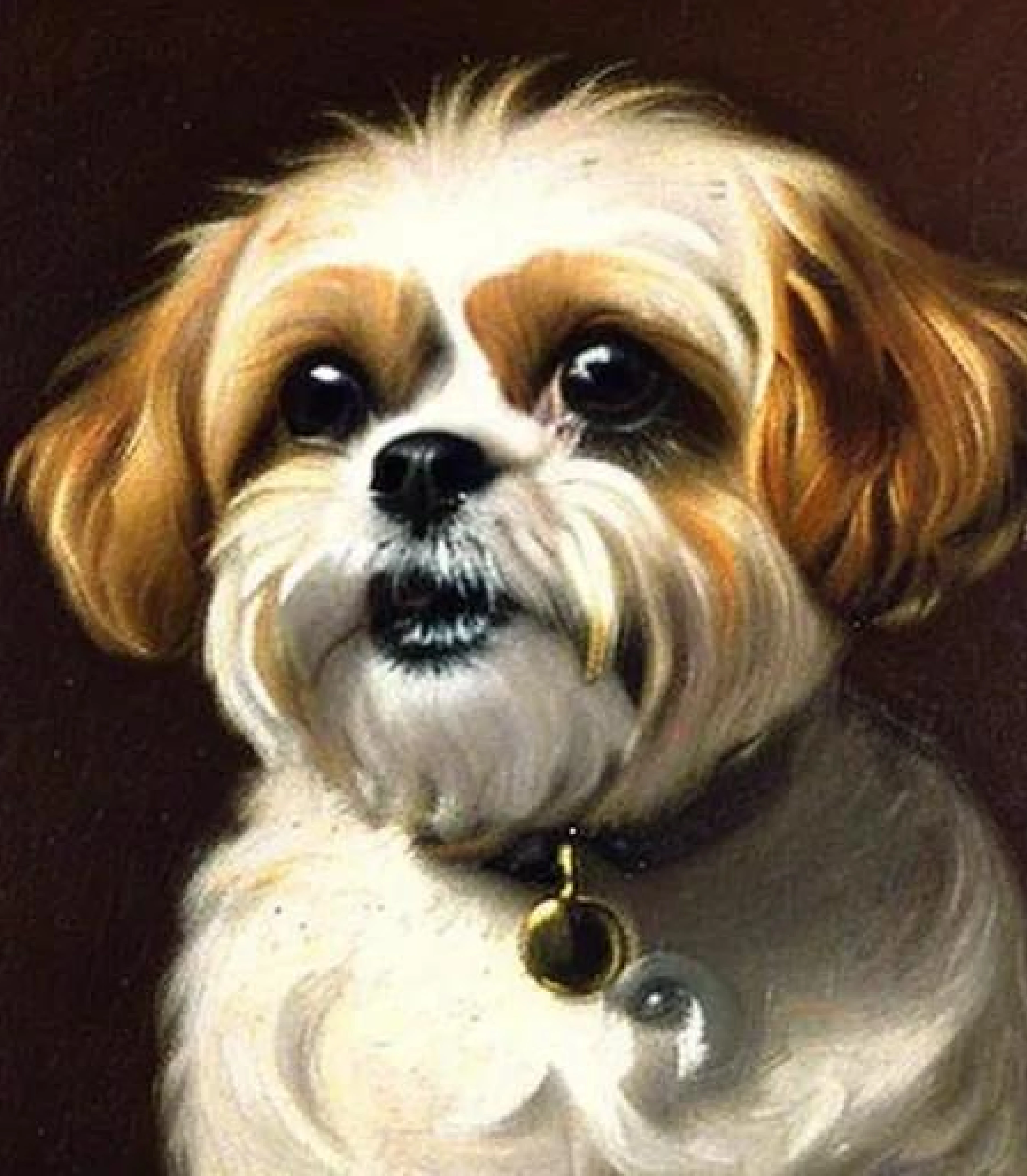 Shihtzu in Leonardo renaissance painting style created using AI Draw our online AI Art generator