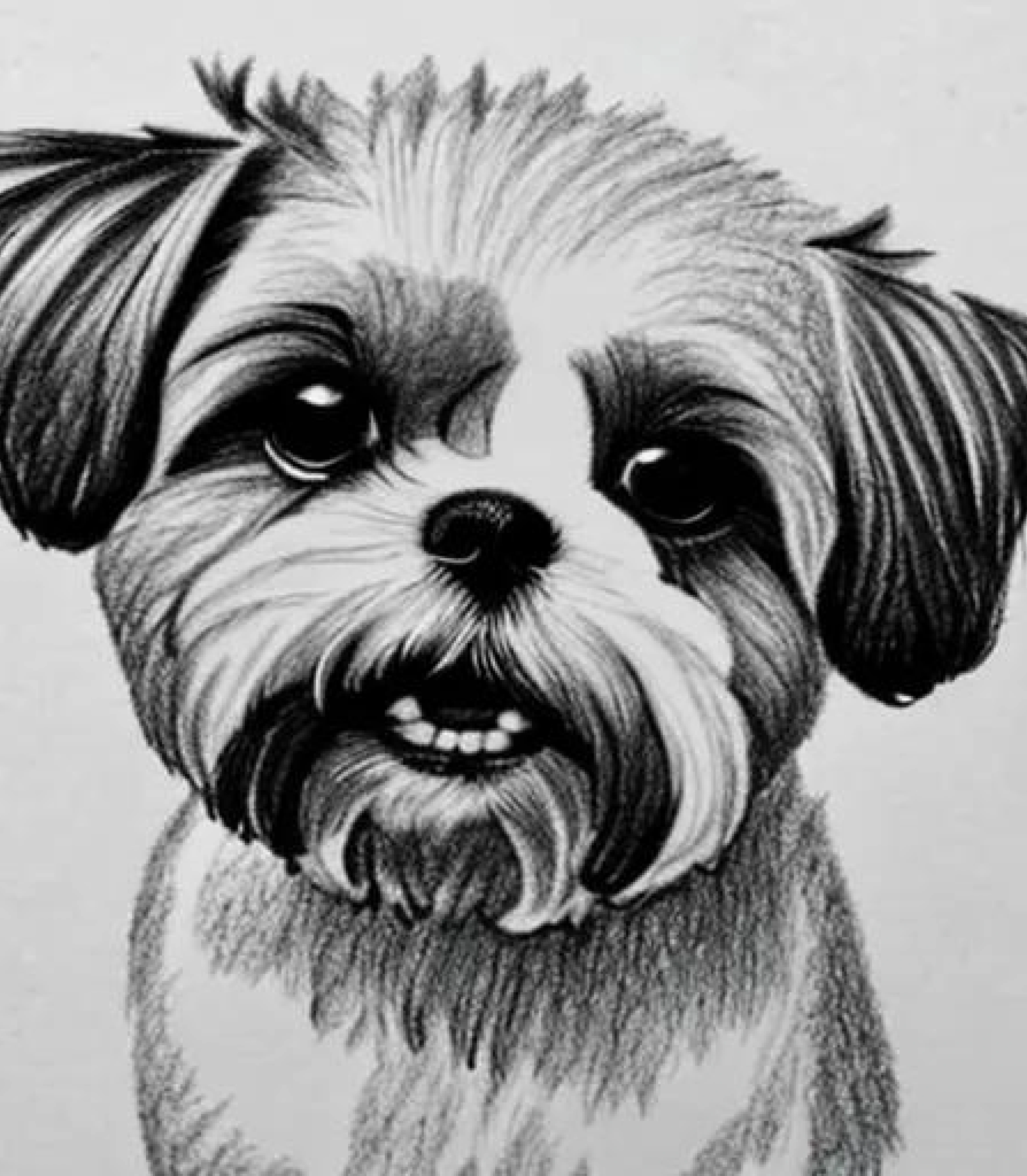 Shih tzu in Realistic Pencil sketch created using AI Draw our online AI Art generator 