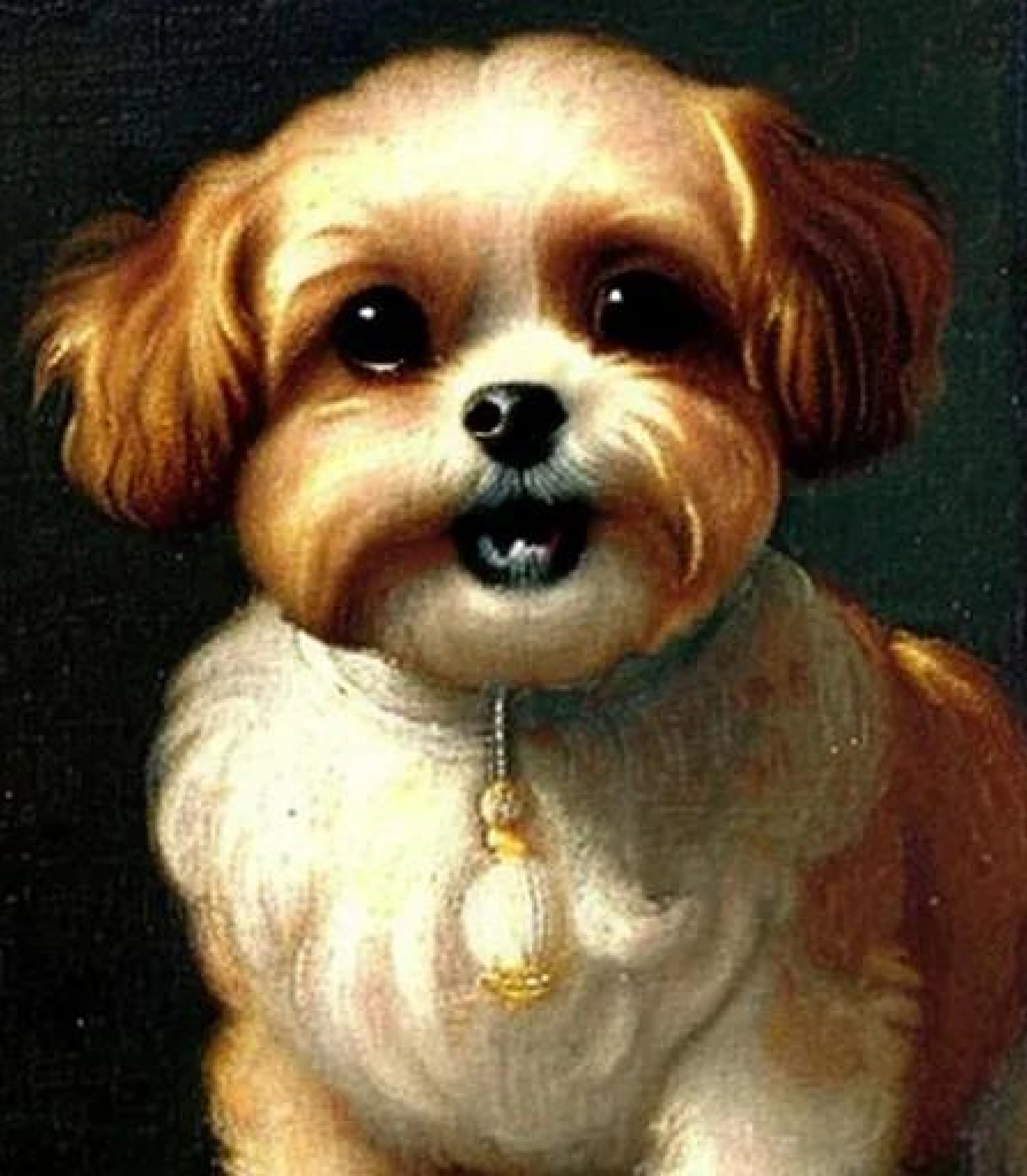 Shih tzu in medieval painting style created using AI Draw our online AI Art generator