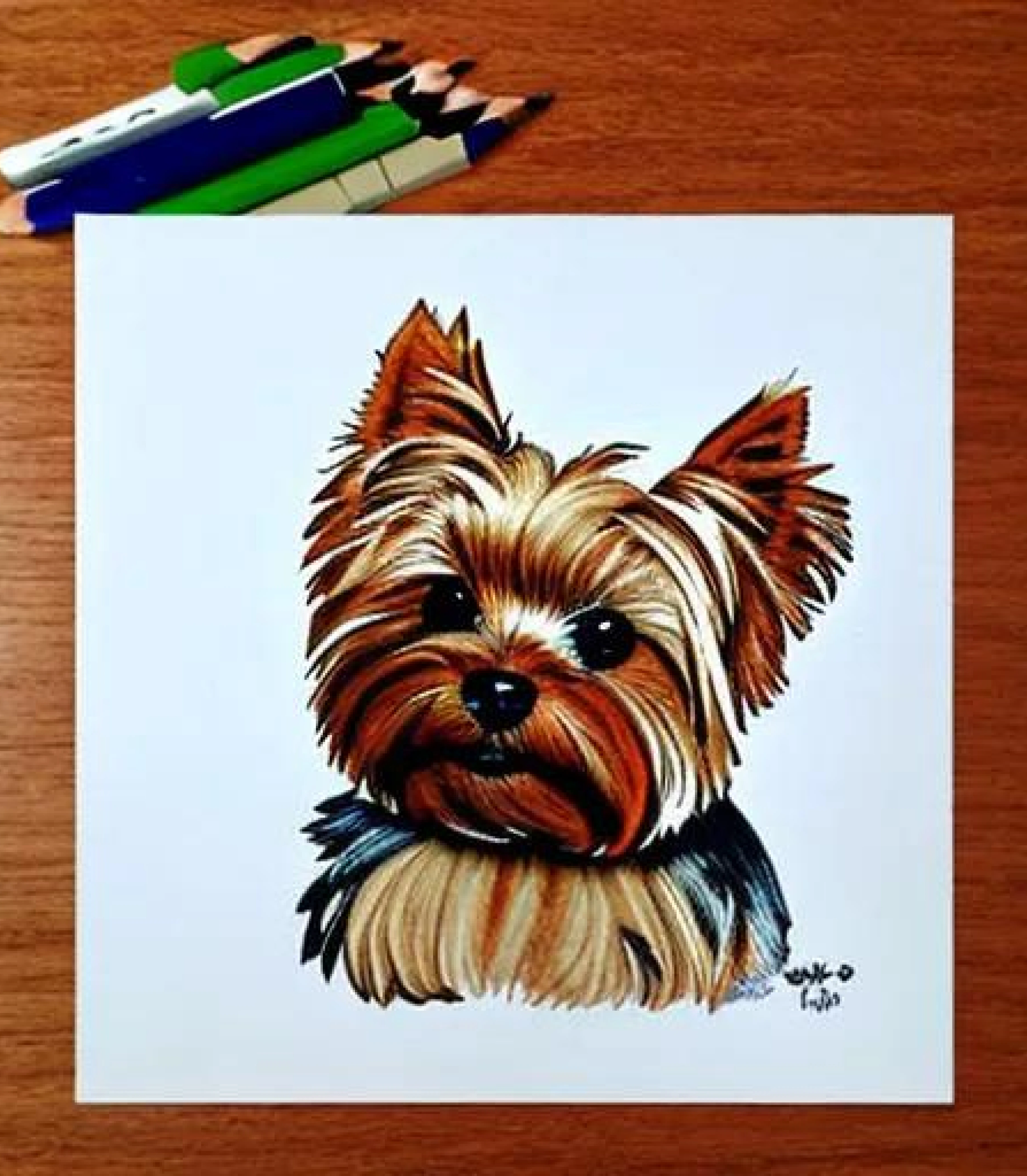 Yorkshire terrier in Coloured pencil sketch created using AI Draw our online AI Art generator