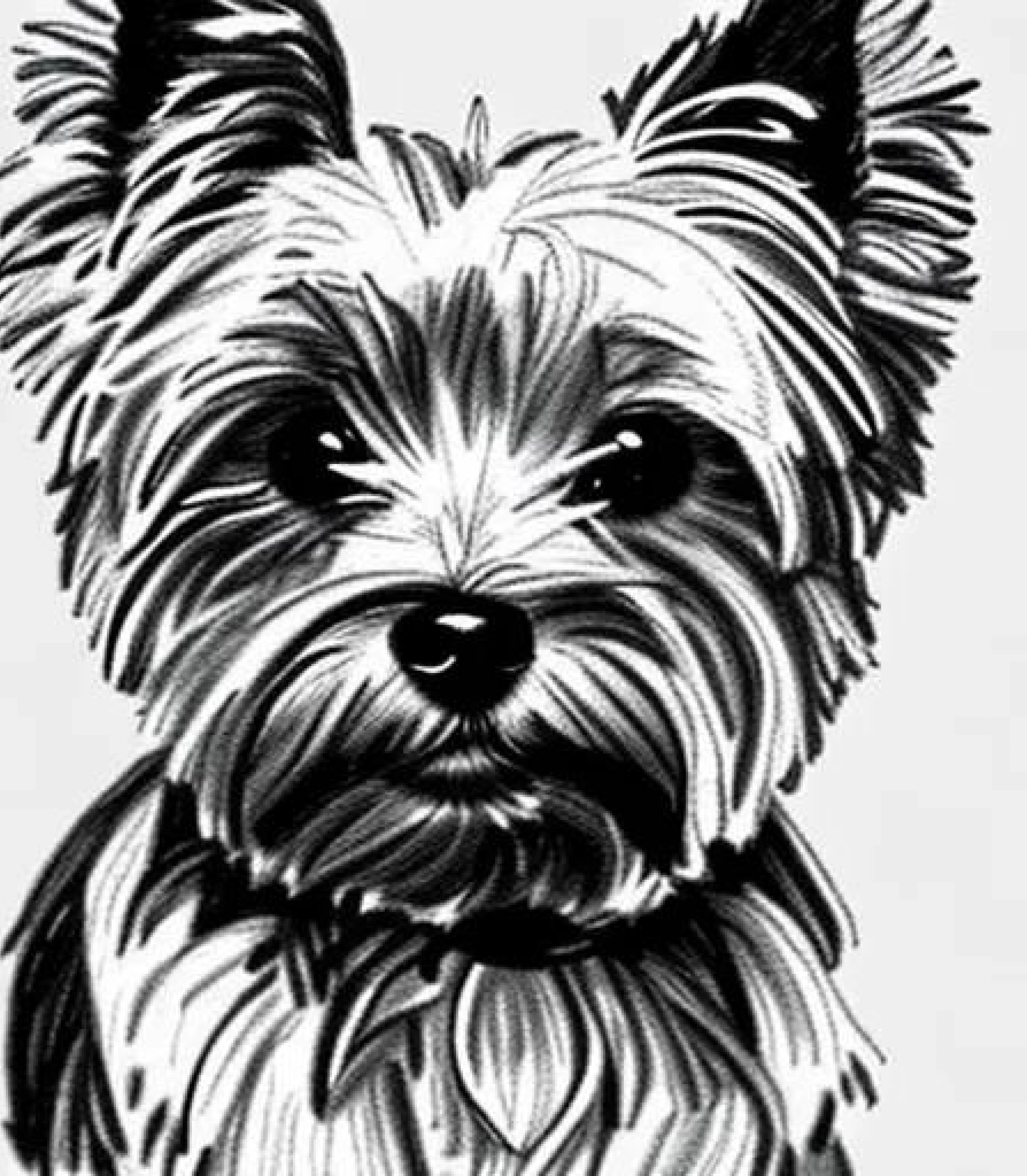 Yorkshire terrier in Realistic Pencil sketch created using AI Draw our online AI Art generator 