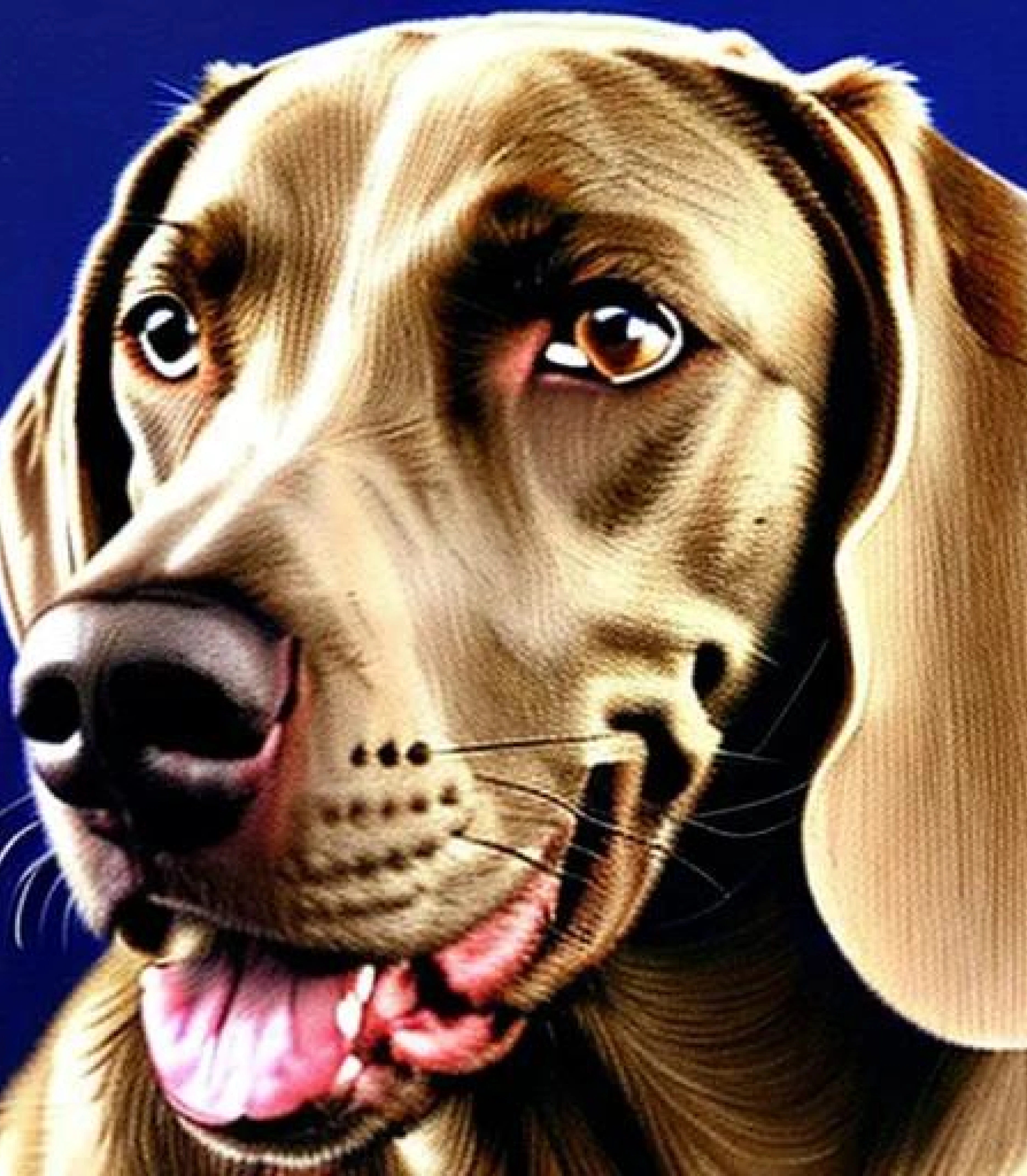 Weimaraner in oil canvas painting created using AI Draw our online AI Art generator